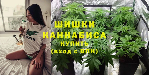 экстази Бородино
