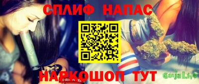 сатива Бийск