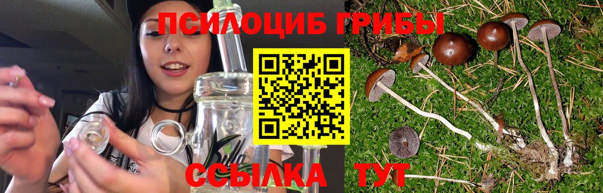 Галлюциногенные грибы мицелий Бугульма
